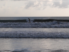 surfing na Bali